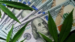 Cannabis leaves sitting on top of benajamin franklin $100 dollar bills