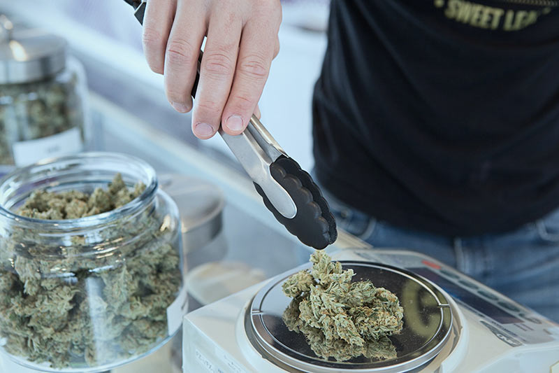 Maryland-Weed-Legalization-How-To-Capitalize-On-Marylands-Marijuana-Legalization