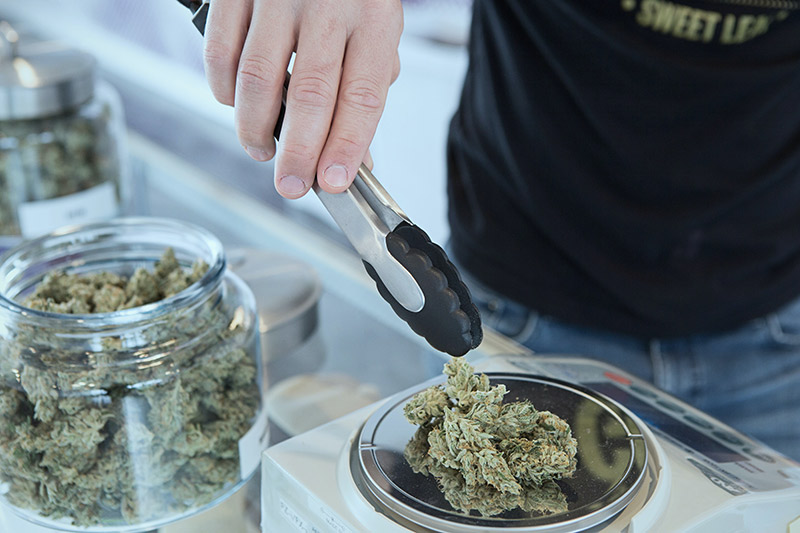 5-Top-Payroll-Providers-For-Cannabis-Dispensaries