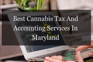 Best Cannabis Tax And Accounting Services In Maryland