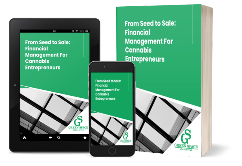 ebook cover - From Seed To Sale - Financial Management For Cannabis Entrepreneurs (1) (1)