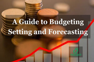 Budget setting and forecasting