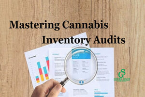 Mastering cannabis inventory audits